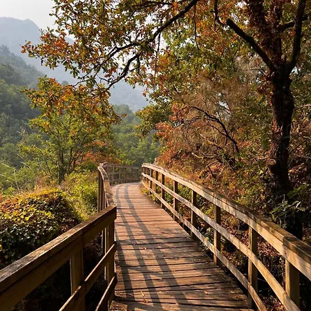 Ribeira Sacra Apartament *